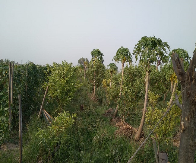 jagran
